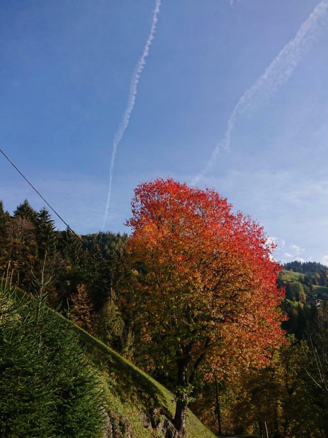 Apart Pfister Aschau Im Zillertal 外观 照片